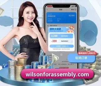 技术升级